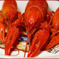 crawfish free clipart