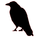 crow silhouette free clipart