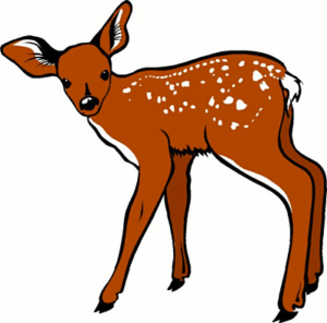 deer fawn free clipart