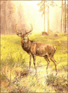 deer large buck by water morning free clipart