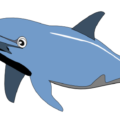 dolphin free clipart