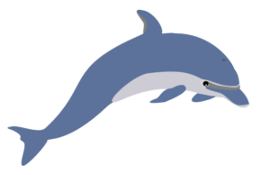 dolphin jumping free clipart