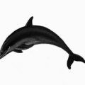 dolphin silhouette free clipart