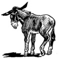 donkey bw free clipart