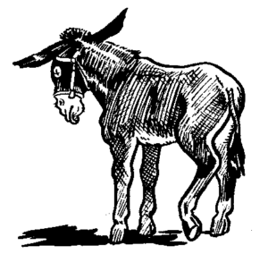 donkey bw free clipart