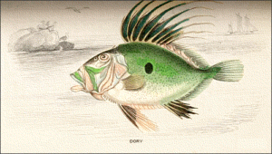 dory free clipart