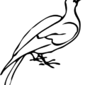 dove free clipart