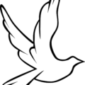 dove outline free clipart