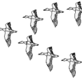 ducks fly in v free clipart