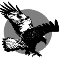 eagle flight free clipart