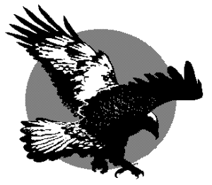 eagle flight free clipart