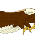 eagle hunting free clipart