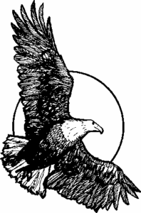 eagle in sky free clipart