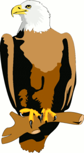 eagle on branch free clipart