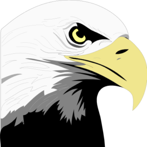 eagle profile free clipart