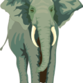 elephant charge free clipart