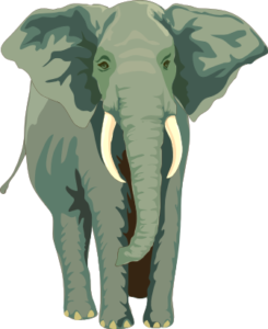 elephant charge free clipart