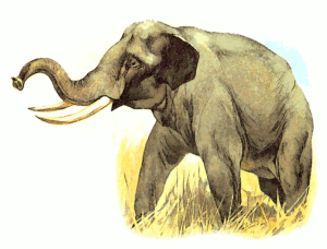 elephant free clipart