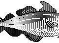 fish free clipart