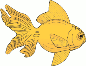 fish free clipart