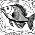 fish bw free clipart image