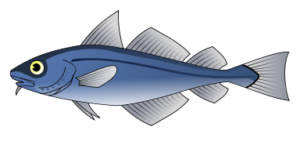 fish free clipart