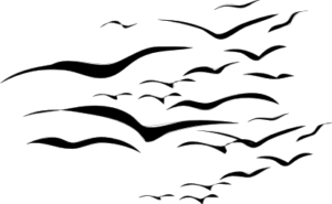 flock of seaguls free clipart