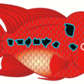 flowerhorn fish free clipart