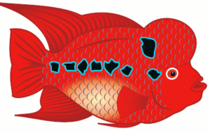 flowerhorn fish free clipart