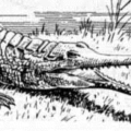 gavial free clipart