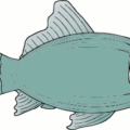 generic fish free clipart