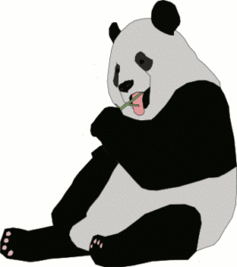giant panda eating free clipart