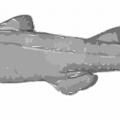 goblin shark free clipart