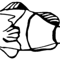 goldfish bw free clipart