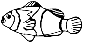 goldfish bw free clipart