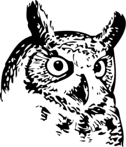 great owl free clipart