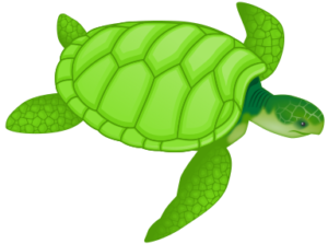 green sea turtle free clipart