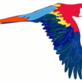 guacamaya free clipart