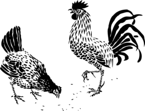 hen and rooster free clipart