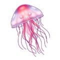 jellyfish free clipart image