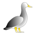 jonathons duck free clipart