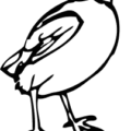 little bird free clipart