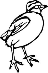 little bird free clipart