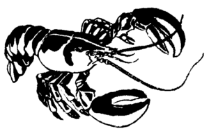 lobster bw free clipart