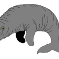 manatee free clipart