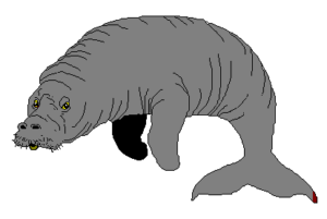 manatee free clipart