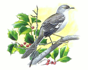 mockingbird free clipart