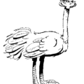 ostrich fun free clipart