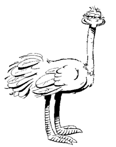 ostrich fun free clipart