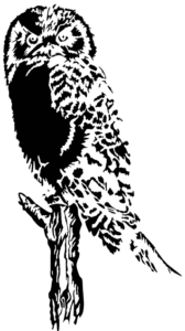 owl bold graphic free clipart